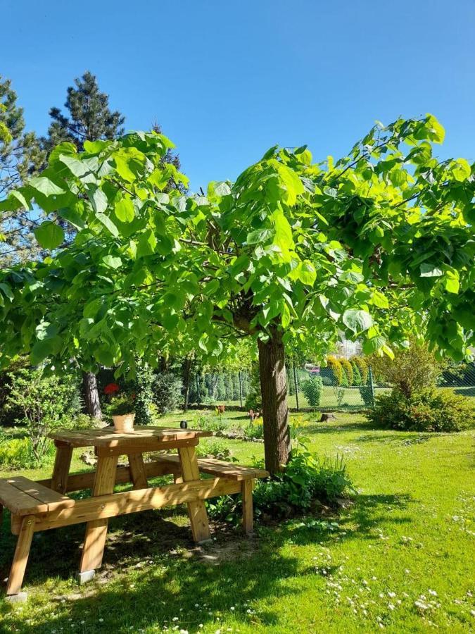 Agroturystyka Stokrotka Rymanow-Zdroj Ngoại thất bức ảnh