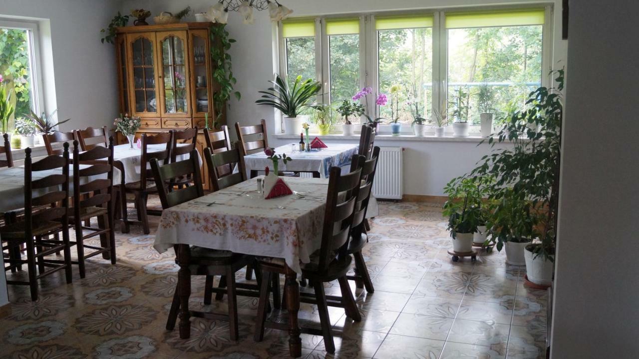 Agroturystyka Stokrotka Rymanow-Zdroj Ngoại thất bức ảnh